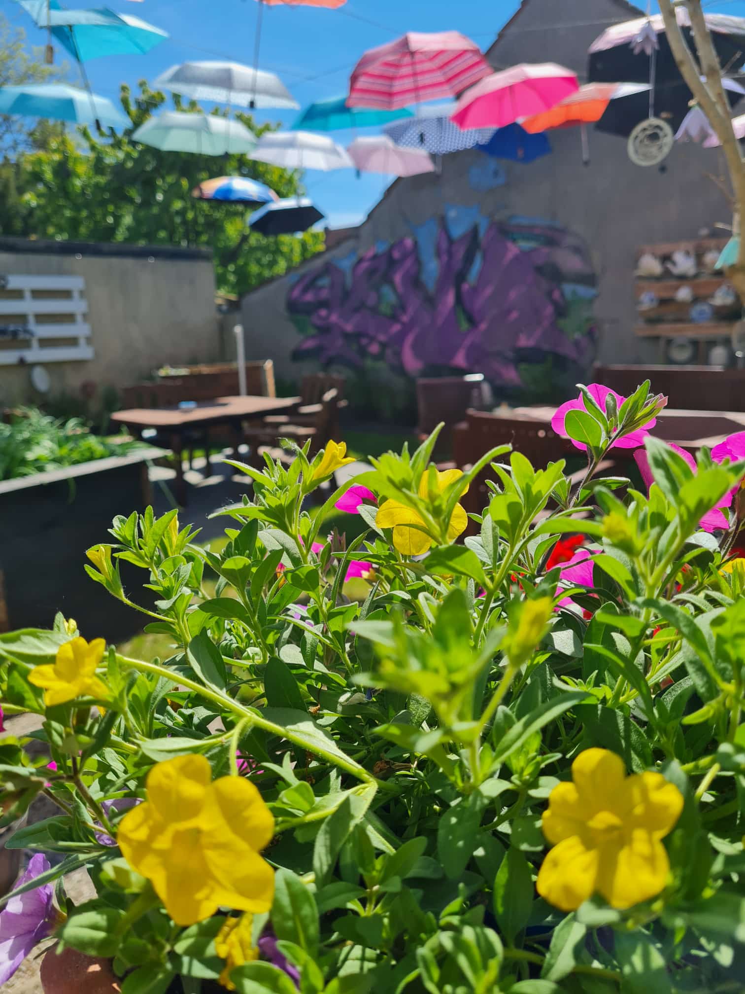 /bilder/Galerie/Mohltied_Garten_Mai_2025_1.jpeg