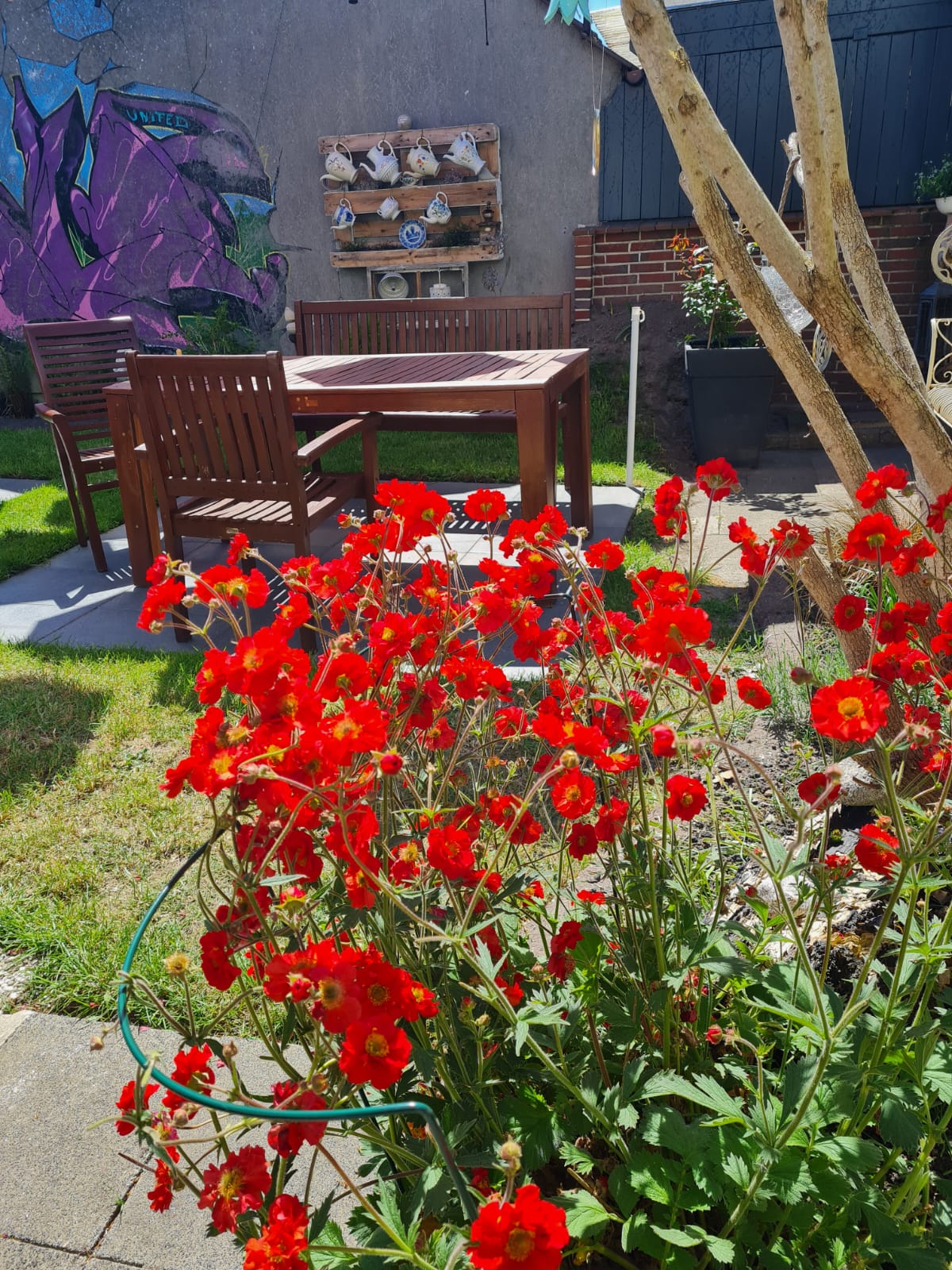 /bilder/Galerie/Mohltied_Garten_Mai_2025_2.jpeg